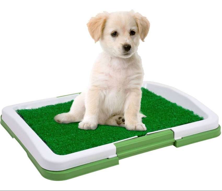 Tapete baño para mascotas entrenador para perros sanitario Pequeño
